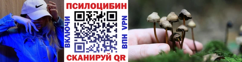 Галлюциногенные грибы MAGIC MUSHROOMS  гидра ССЫЛКА  Бодайбо 
